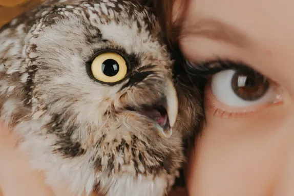 CasinoCasino Casino Support